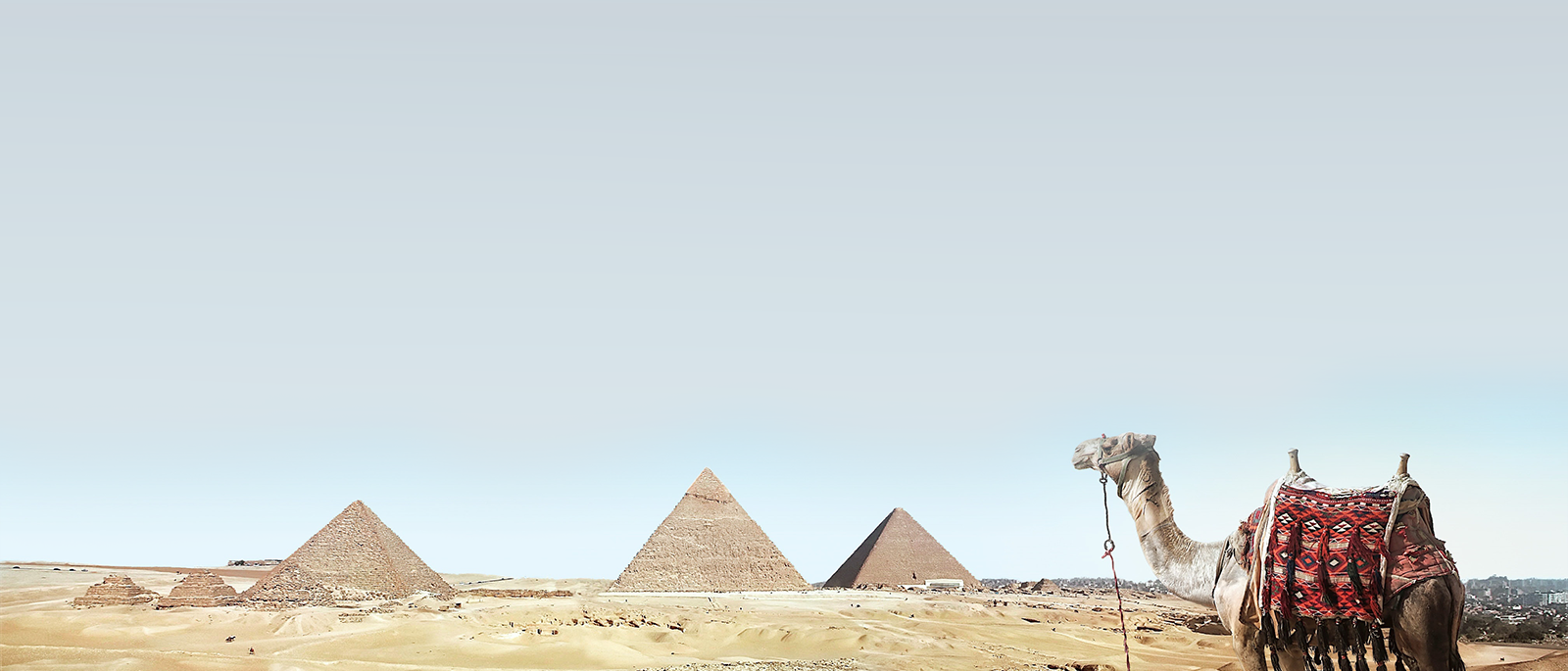 camel-ends